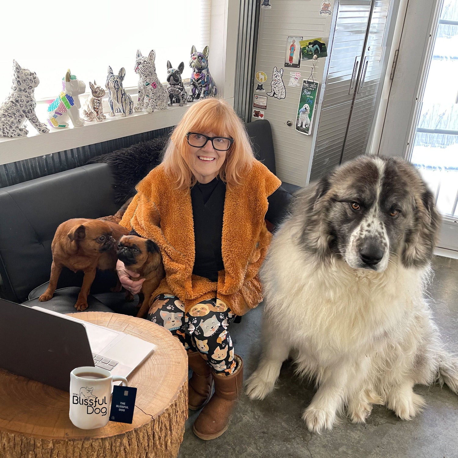 founder blissful Dog